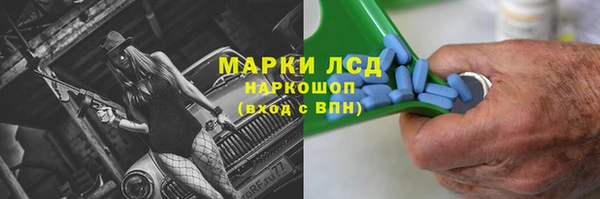 ПСИЛОЦИБИНОВЫЕ ГРИБЫ Верхнеуральск